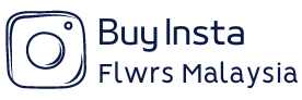 Buy Insta FLWRS Malaysia